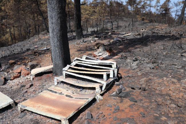 Marmaris yangınında 4 bin 500 hektar alan zarar gördü
